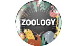 zoology resized
